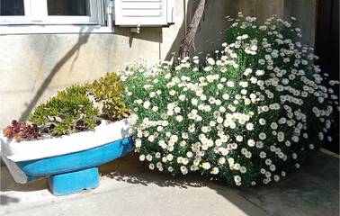 Ferienhaus für 6 Personen, mit Terrasse in Zadar (Kommun)