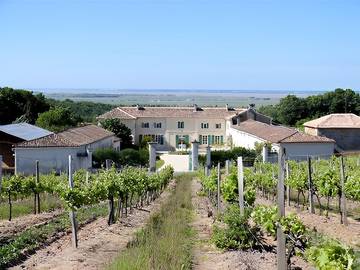 Chambre d’hôte pour 2 personnes, avec jardin à Saint-Thomas-de-Conac