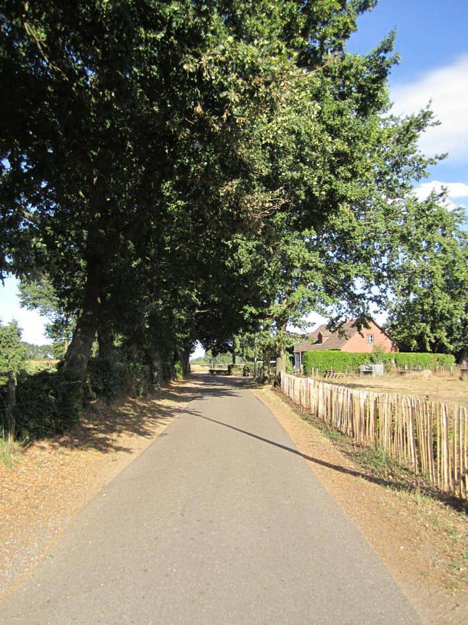 Gîte pour 4 personnes, avec vue et jardin à Overpelt - 2