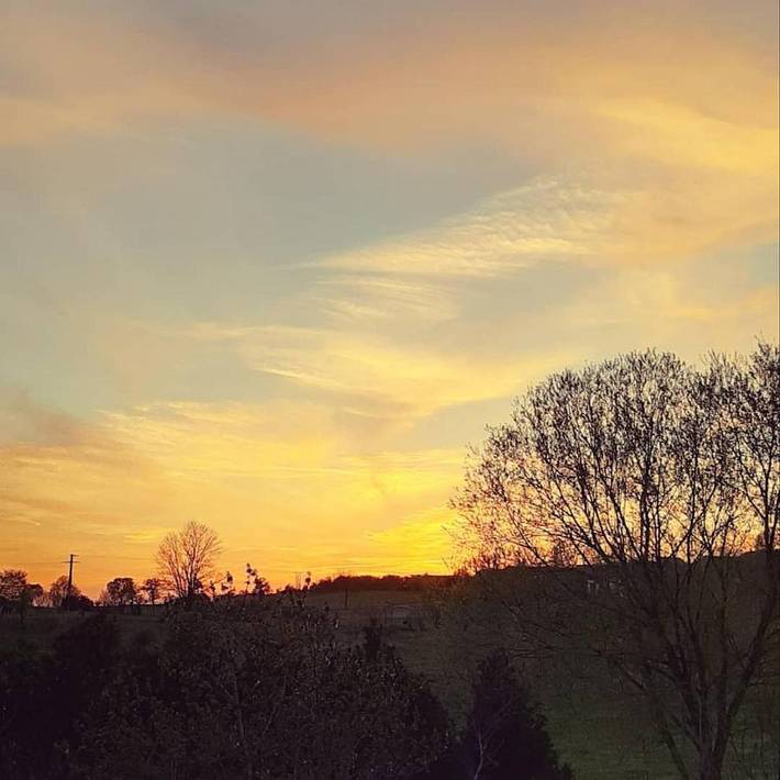 Maison d’hôte pour 2 personnes, avec jardin ainsi que piscine et vue en Moselle - 4