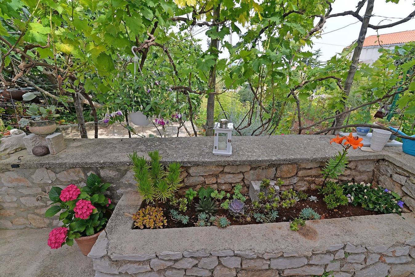Ganze Wohnung, Roberto 1 in Veli Losinj, Lošinj (Kvarner Bucht)