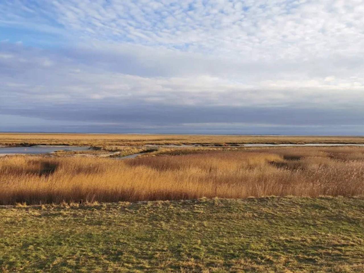 4 Personen Ferienhaus in Fanø-By Traum in Sønderho, Fanø