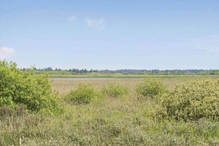 Ferienhaus für 4 Personen, mit Terrasse, mit Haustier auf Rømø - 2
