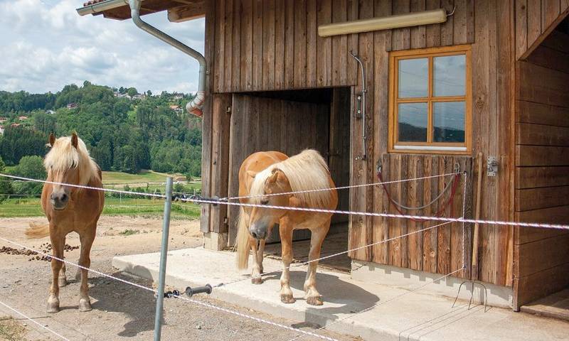 Ferienhaus für 7 Personen, mit Garten in Grafenau - 4