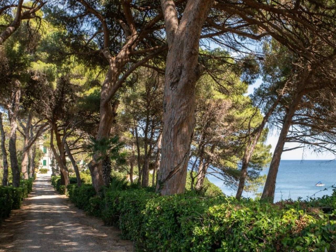 Appartement entier, Villaflair - Bensa contemporary in Cavo, Ile d'Elbe