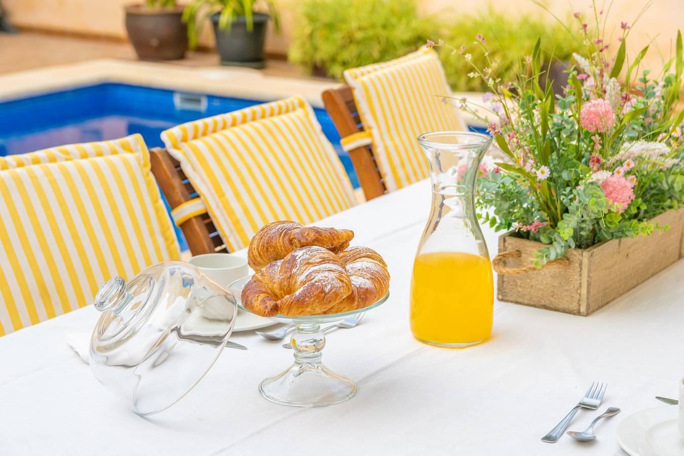 Villa Placeta 6 in Sa Pobla, North Majorca