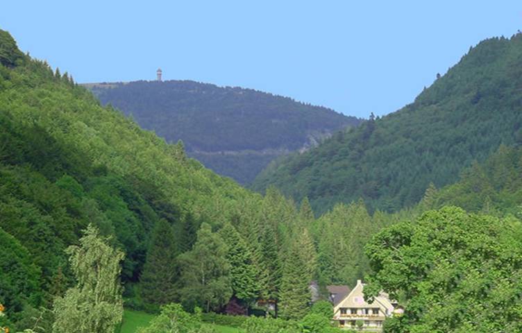 Appartement entier, Appartement 'Maria' avec vue sur la montagne, terrasse privée et Wi-Fi in Brandenberg (Todtnau), Todtnau