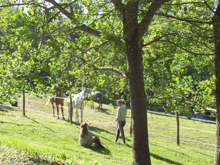 Hôtel pour 2 personnes, avec terrasse ainsi que jardin et vue dans Lac des Settons (Montsauche-les-Settons) - 4