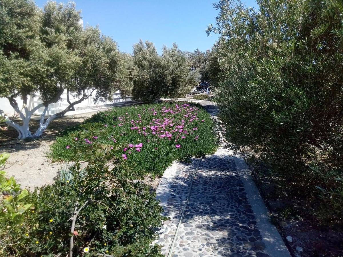 Hotel Perissa in Emporio, Santorin