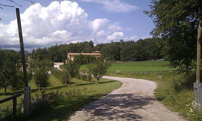immagine prodotto