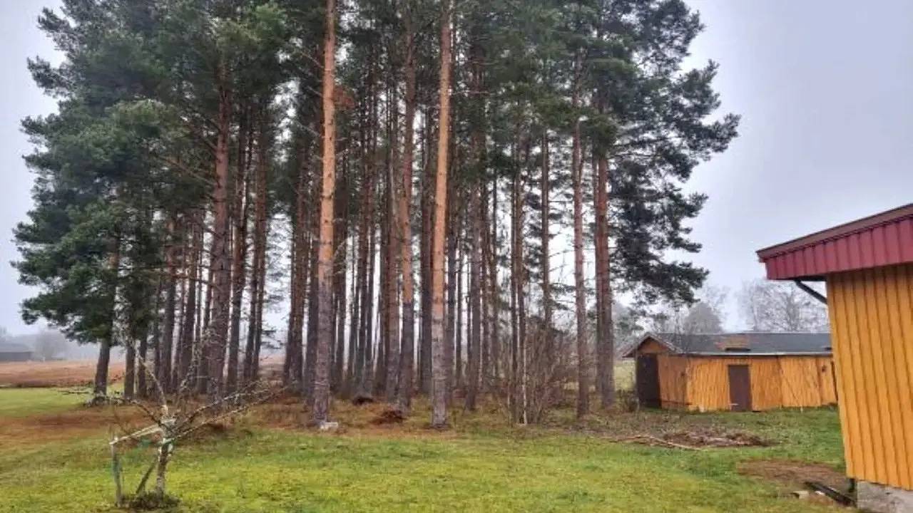 Ferienhaus für 5 Personen (95 m²) in Dala-Järna in Vansbro, Dalarna