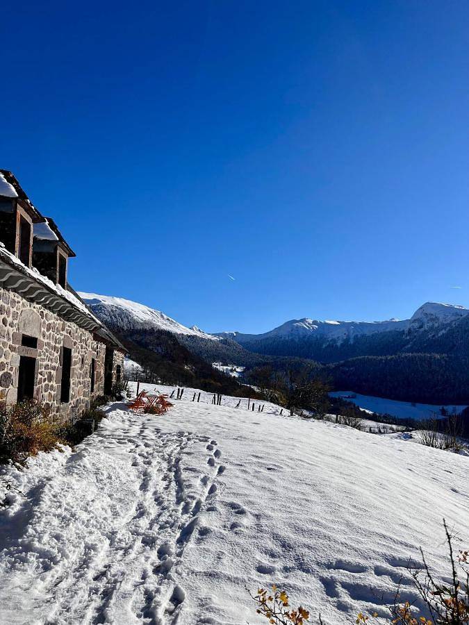 L'Impradine, grand gîte vue et nature splendides in Le Falgoux, Parc naturel régional des Volcans d'Auvergne