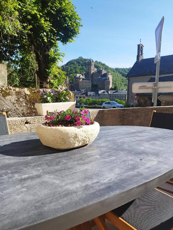 Gîte pour 4 personnes, avec vue ainsi que jardin et terrasse à Sébrazac - 3