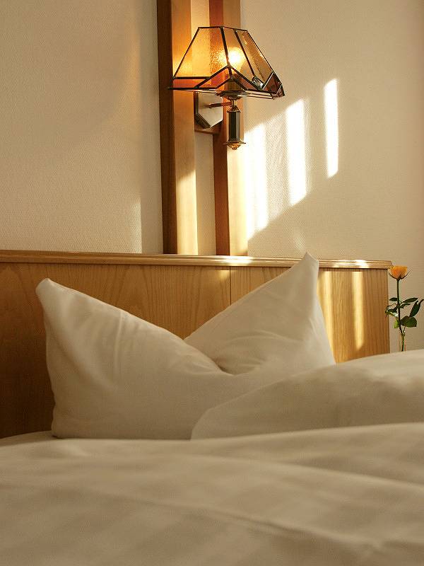 Brauereigasthof-Bürgerbräu - Cosy single room in country house style, shower/Wc, sitting area in Bad Reichenhall, Berchtesgarden Alps