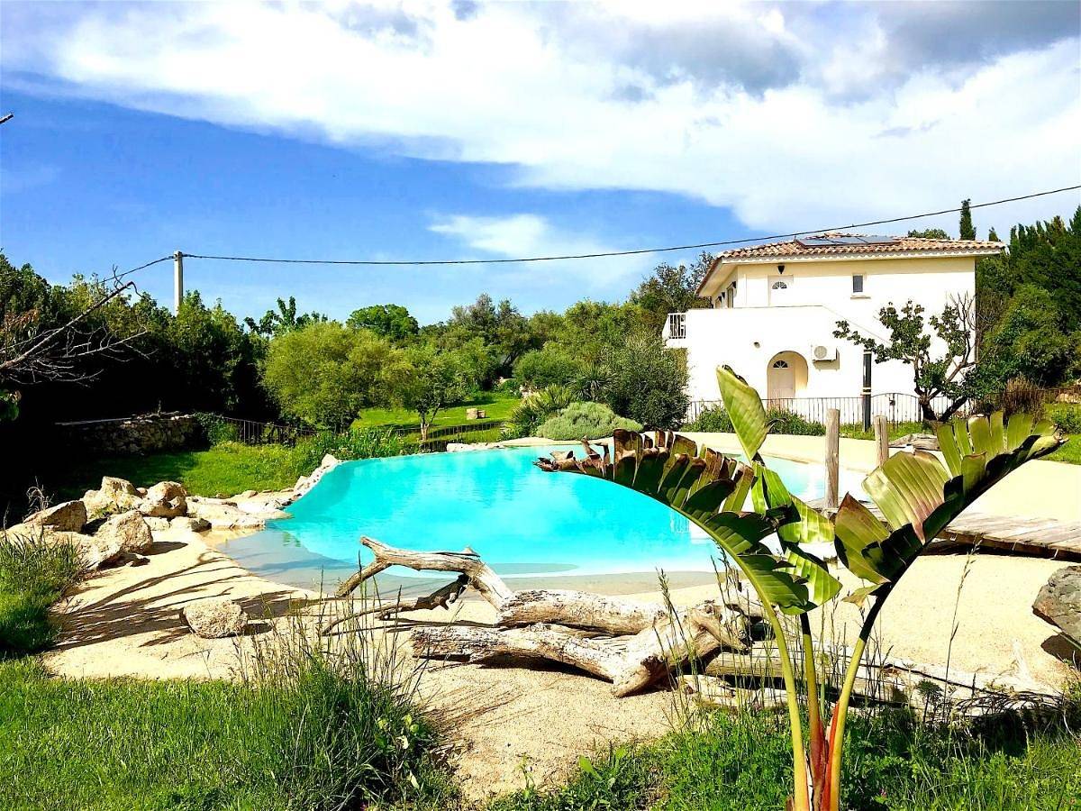 L'Alivi di l'Osari in Belgodère, Région de Calvi