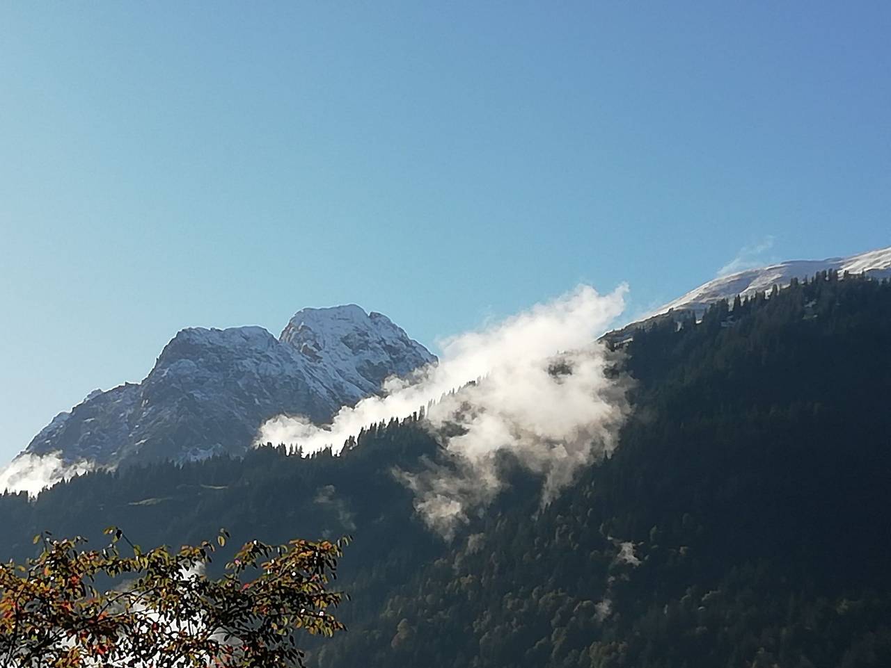 Ganze Ferienwohnung, Ferienwohnung Peter - Fewo Peter, 3 Sz+ 1 Schlafsofa in Au, Bregenzerwald