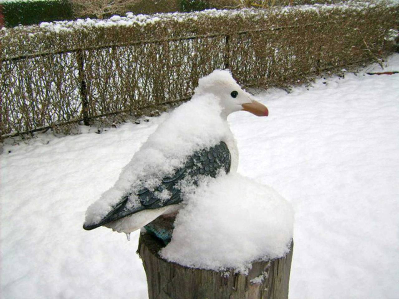 Ganze Ferienwohnung, Urlaubshof Semlow - Appartement 2 in Semlow, Vorpommern-Rügen