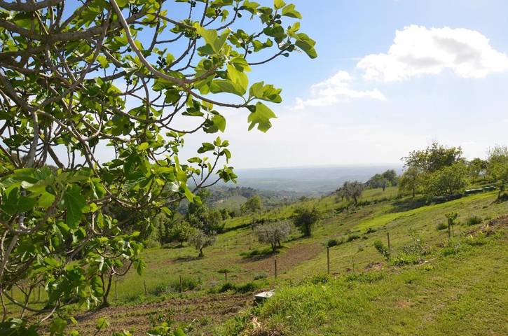 Casa vacanza per 7 persone, con Balcone e Terrazza nonché Giardino e Panorama a Poggio Mirteto