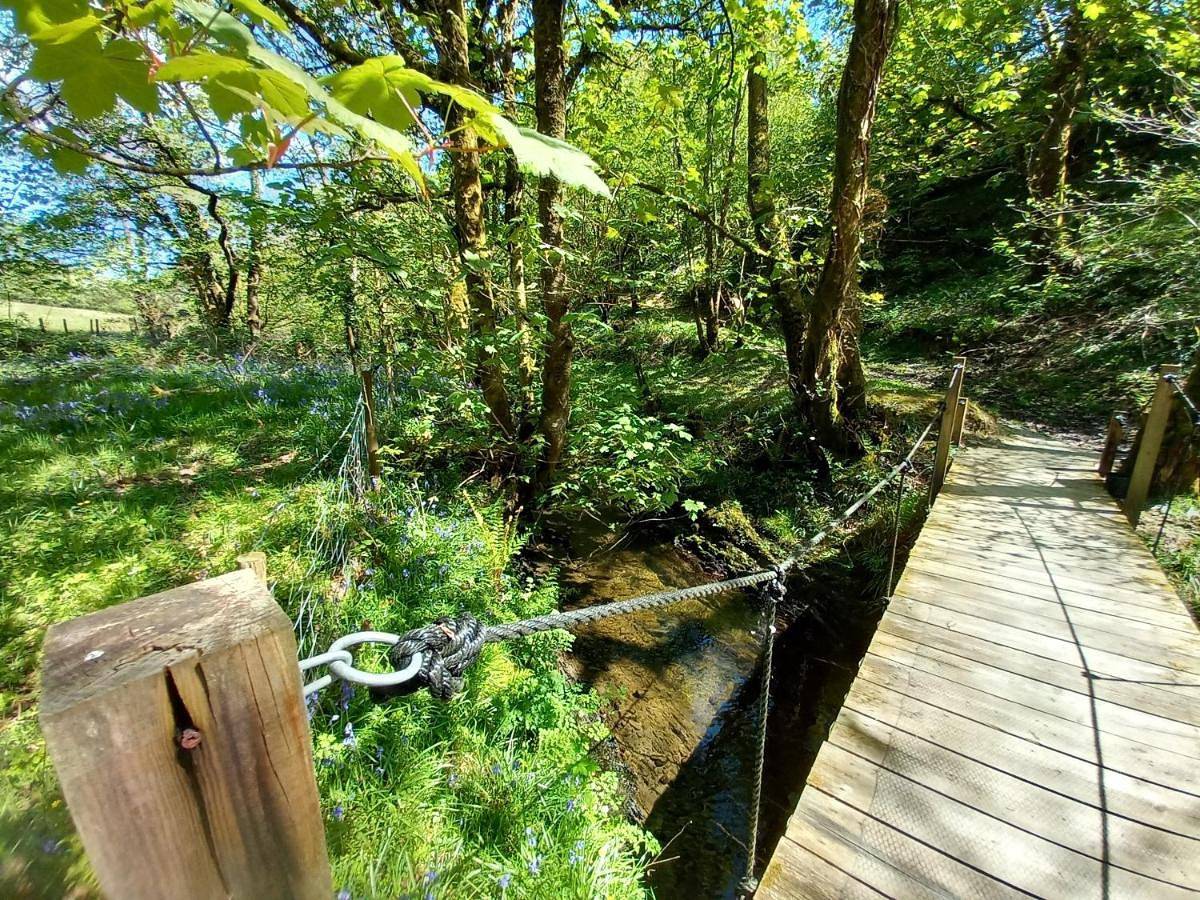Serenity Lodge in Carmarthenshire