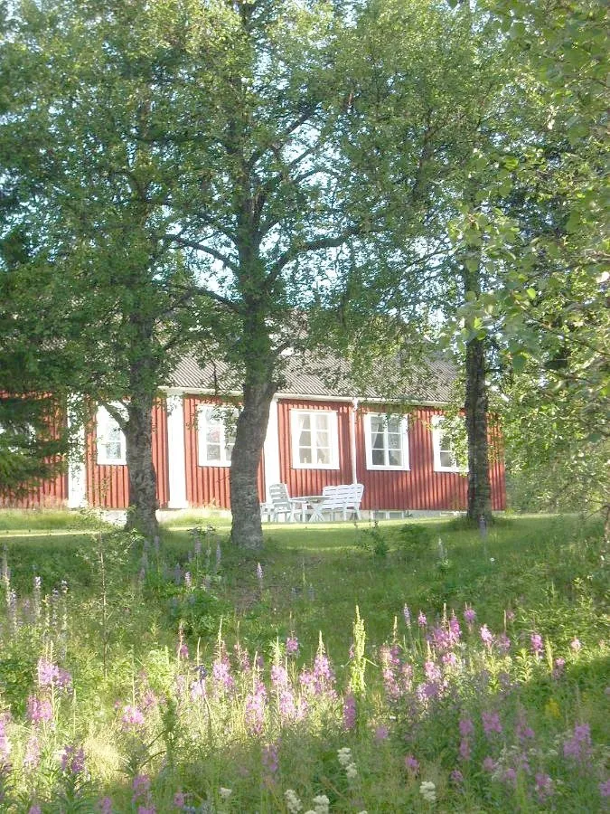 Ferienwohnung für 4 Personen, mit Garten - 1