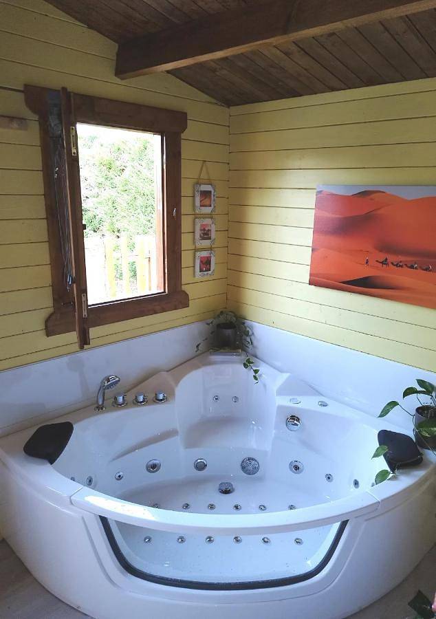 Appartement de vacances pour 2 personnes, avec piscine ainsi que vue et jardin, animaux acceptés dans Loiret - 2