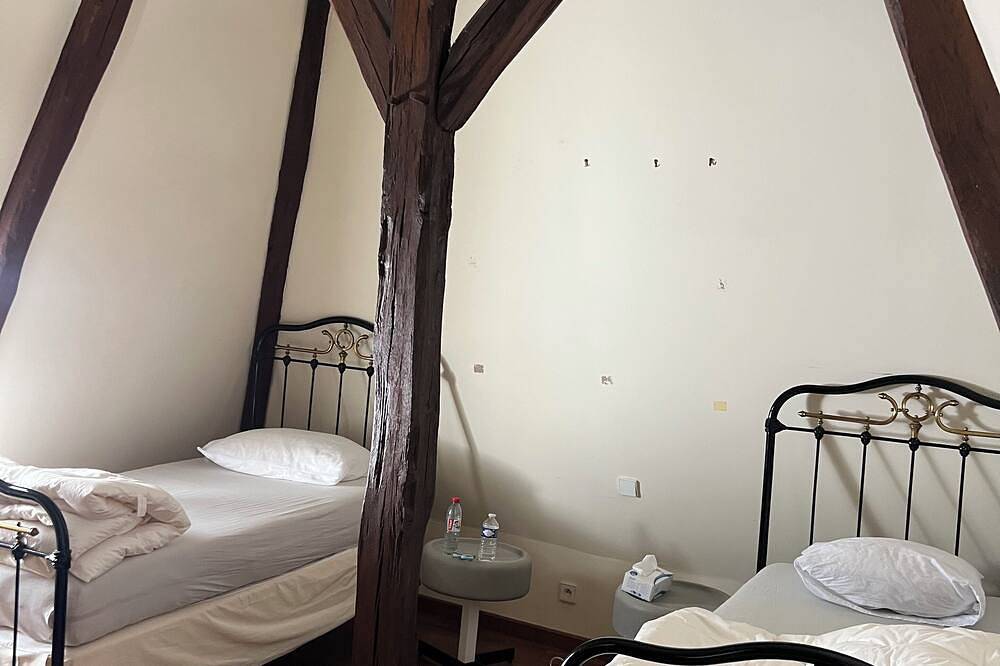 Ganze Wohnung, An enchanting chateau set in 10 hectares of wooded parkland, in absolute peace and quiet! in Les Forges, Deux-Sèvres