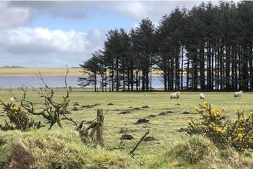 Chalet for 2 People in Cornwall, South West England, Photo 3