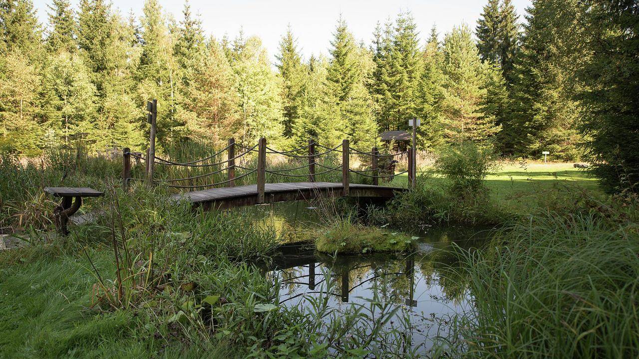 Ferienhaus für 8 Personen (150 m²) in Jägersgrün in Morgenröthe-Rautenkranz, Muldenhammer