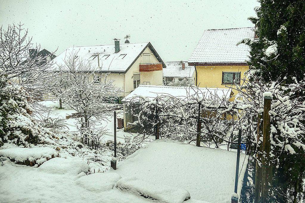 Ganze Ferienwohnung, Ferien-Apartment Ott-Wegmann - 1-Raum--Apartment mit Terrasse und Sitzplatz in Öhningen, Untersee