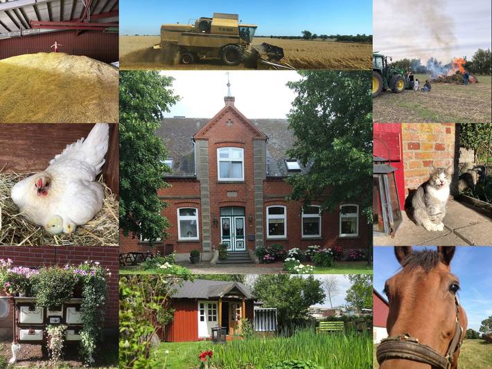 Hütte für 5 Personen, mit Terrasse und Garten auf Fehmarn