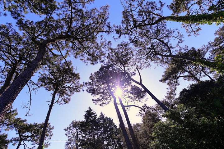 Location de vacances pour 8 personnes, avec jardin et vue dans Labenne Océan - 3