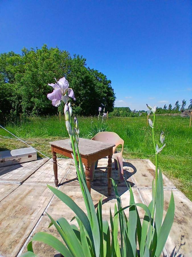 Gîte pour 2 personnes, avec vue ainsi que jardin et sauna, animaux acceptés à Ohey - 3