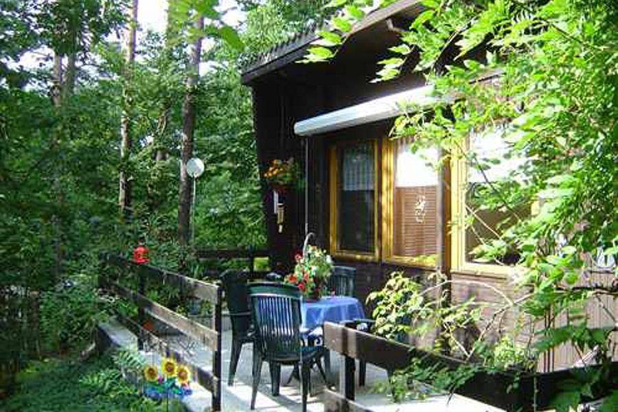 Gemütliches Ferienhaus mit Kamin und Terrasse beim Stechlinsee im Grünen in Stechlinsee, Stechlin