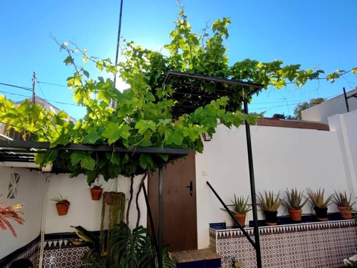 Entire apartment, Charming Andalusian house near beach with private patio in Málaga (Este), Malaga