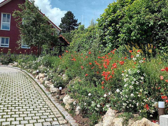 Ferienhaus für 9 Personen, mit Terrasse und Garten sowie Sauna und Ausblick in der Fränkische Schweiz - 3