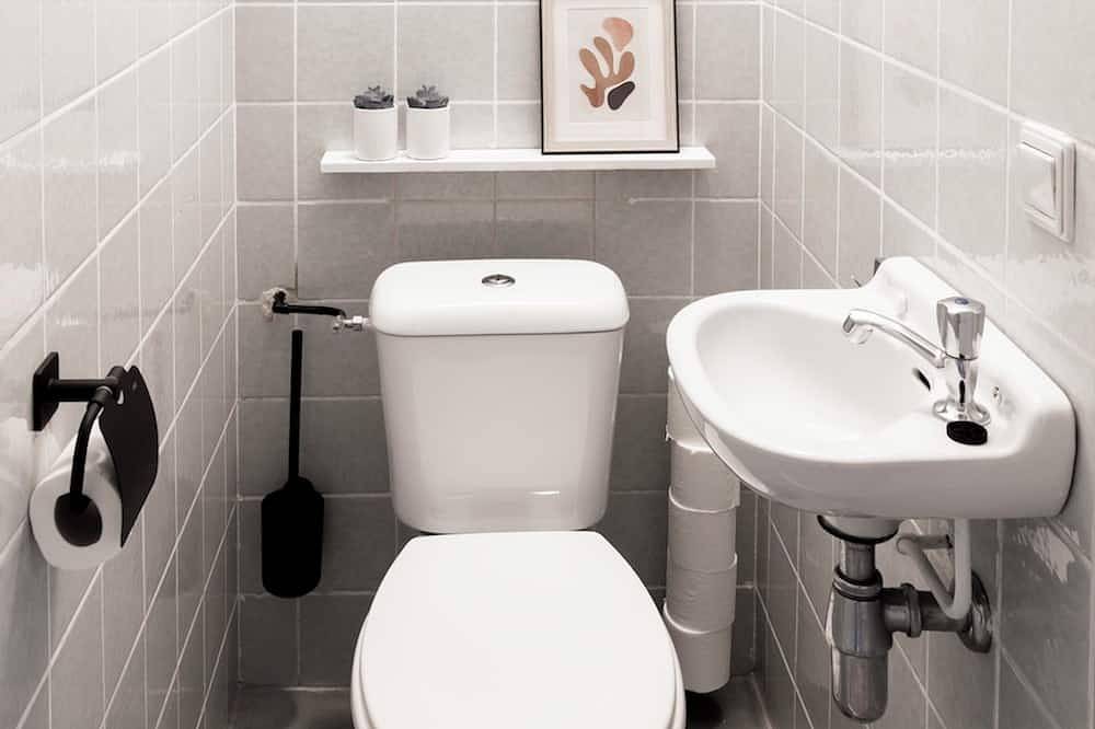 Geheel appartement, 5 slaapplaatsen, geweldige locatie, groot balkon, beste straat in de stad in Tilburg, Noord-Brabant