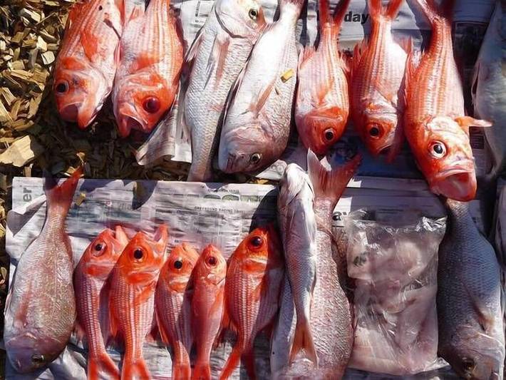 Holiday home for 6 people, with balcony and garden in Kangaroo Island