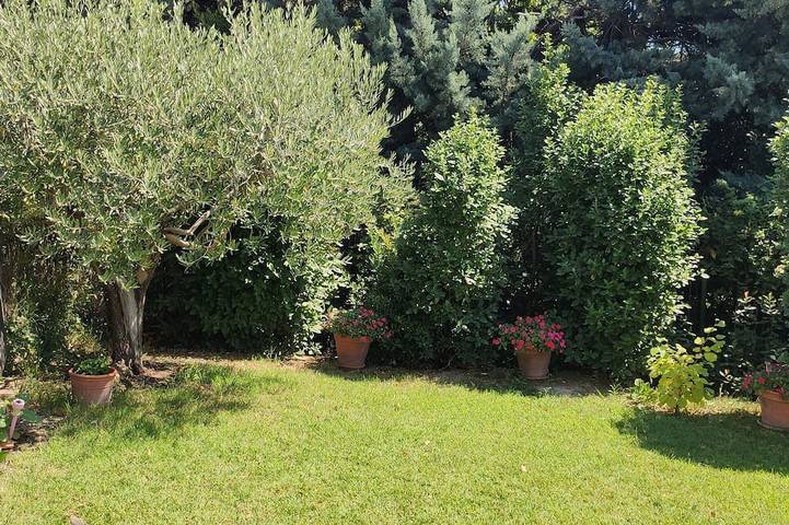 Villa in bloom with private pool near the Alpilles in Maillane, Arles region