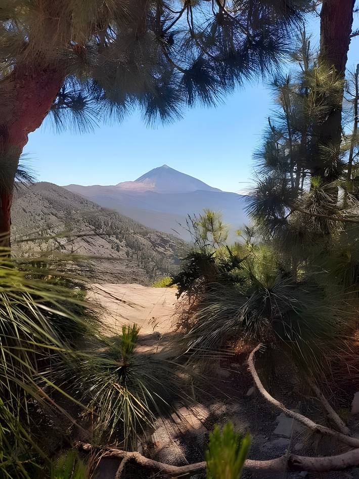 Apartamento para 6 personas, con jardín en Tenerife Sur