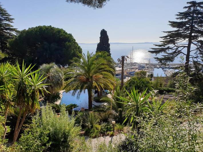 Chambre d’hôte pour 4 personnes, avec jardin et piscine dans Le Lavandou - 3
