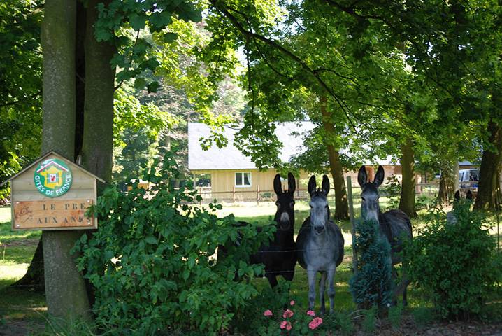Gîtes de France® - Le Pré aux Anes in Sainte-Marguerite-sur-Fauville, Région du Havre