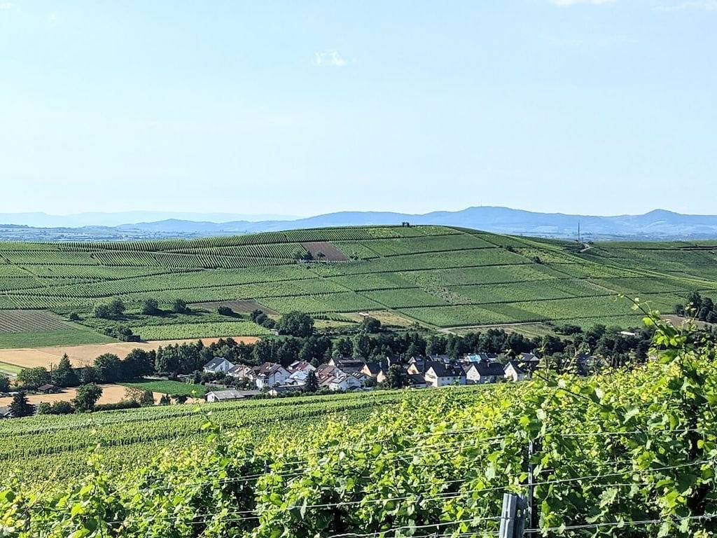 Ferienwohnung mit 1 Schlafzimmer in Pfaffenweiler, Südschwarzwald