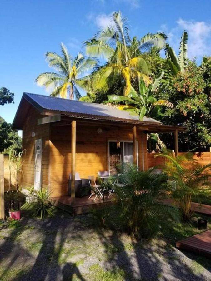 Location de vacances pour 3 personnes, avec vue et jardin dans Riviere Du Mat - 2