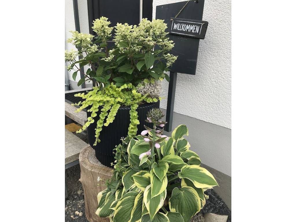 Ferienwohnung mit 1 Schlafzimmer in Wildflecken, Rhön-Bayern