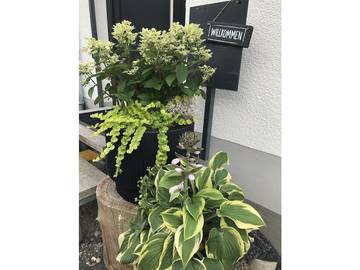 Ferienhaus für 2 Personen, mit Terrasse in Wildflecken