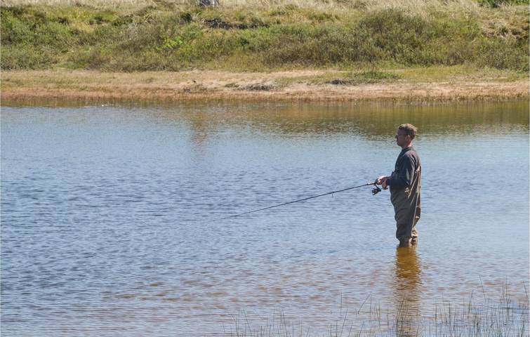 Ferienhaus für 2 Personen, mit Terrasse, mit Haustier in Dänemark - 3