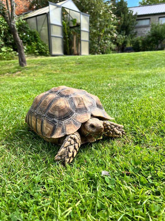 Gîte pour 2 personnes, avec jardin ainsi que vue et terrasse à Le Breuil-en-Auge - 3