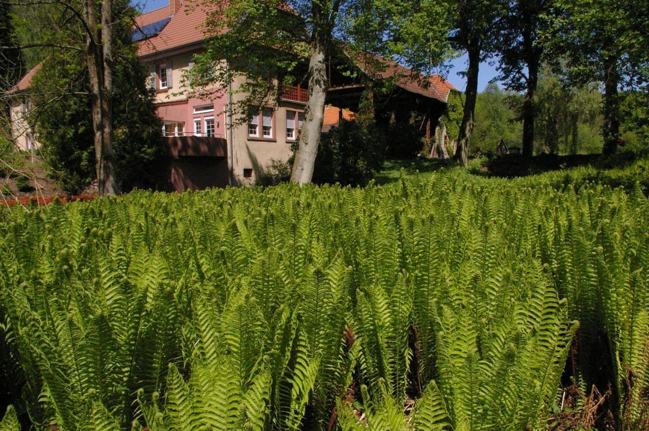 Appartement entier, Apartment in Kaiserslautern, Saar-Nahe-Bergland