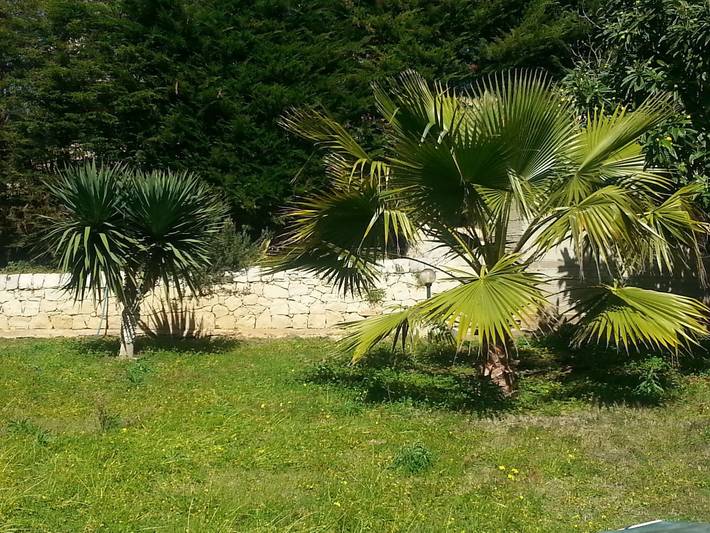 Gîte pour 4 personnes, avec piscine à Cava d'Aliga - 4