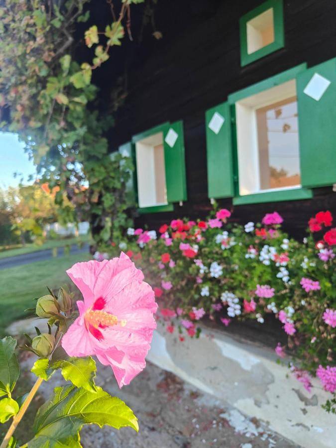 Ferienhaus für 4 Personen, mit Terrasse und Garten sowie Pool und Ausblick in Weststeiermark - 3